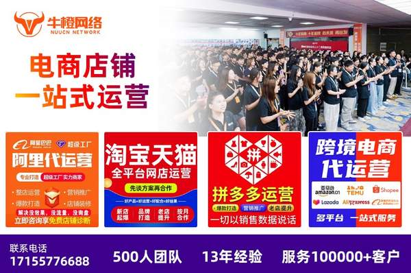 牛橙网络公司介绍