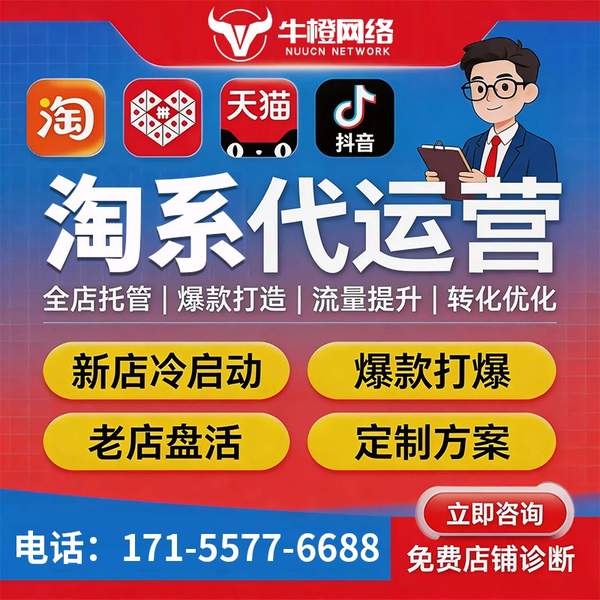 永州电商代运营