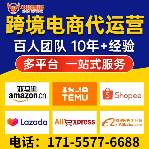 永州电商代运营