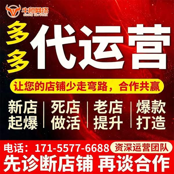 永州电商代运营
