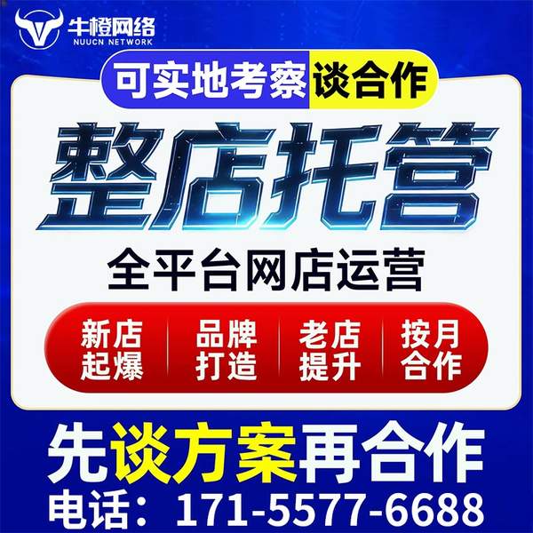 永州电商代运营