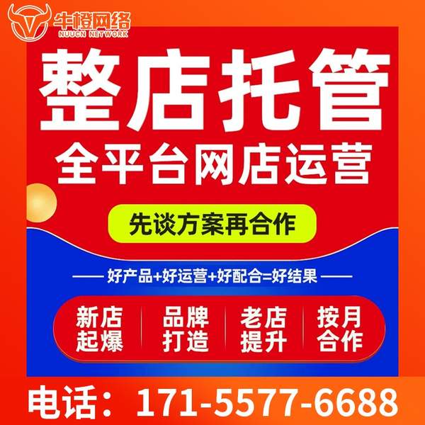 永州电商代运营