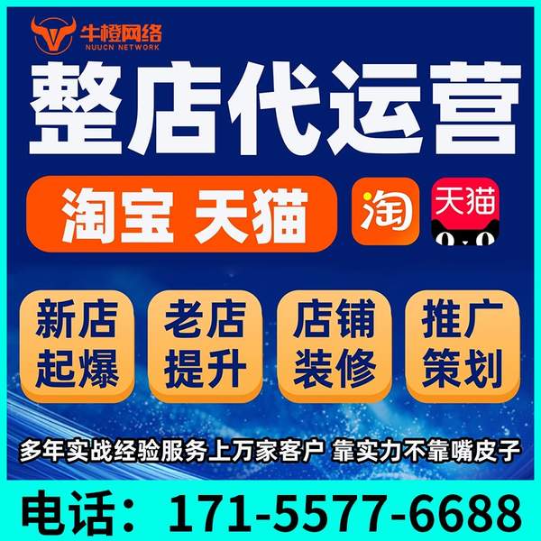 永州电商代运营