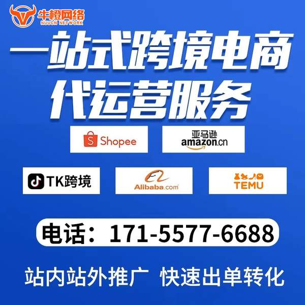永州电商代运营