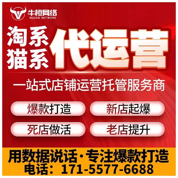 永州电商代运营